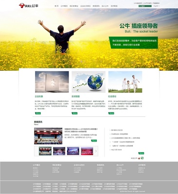 青浦设计服务与软件开发 打造全方位品牌与数字化解决方案