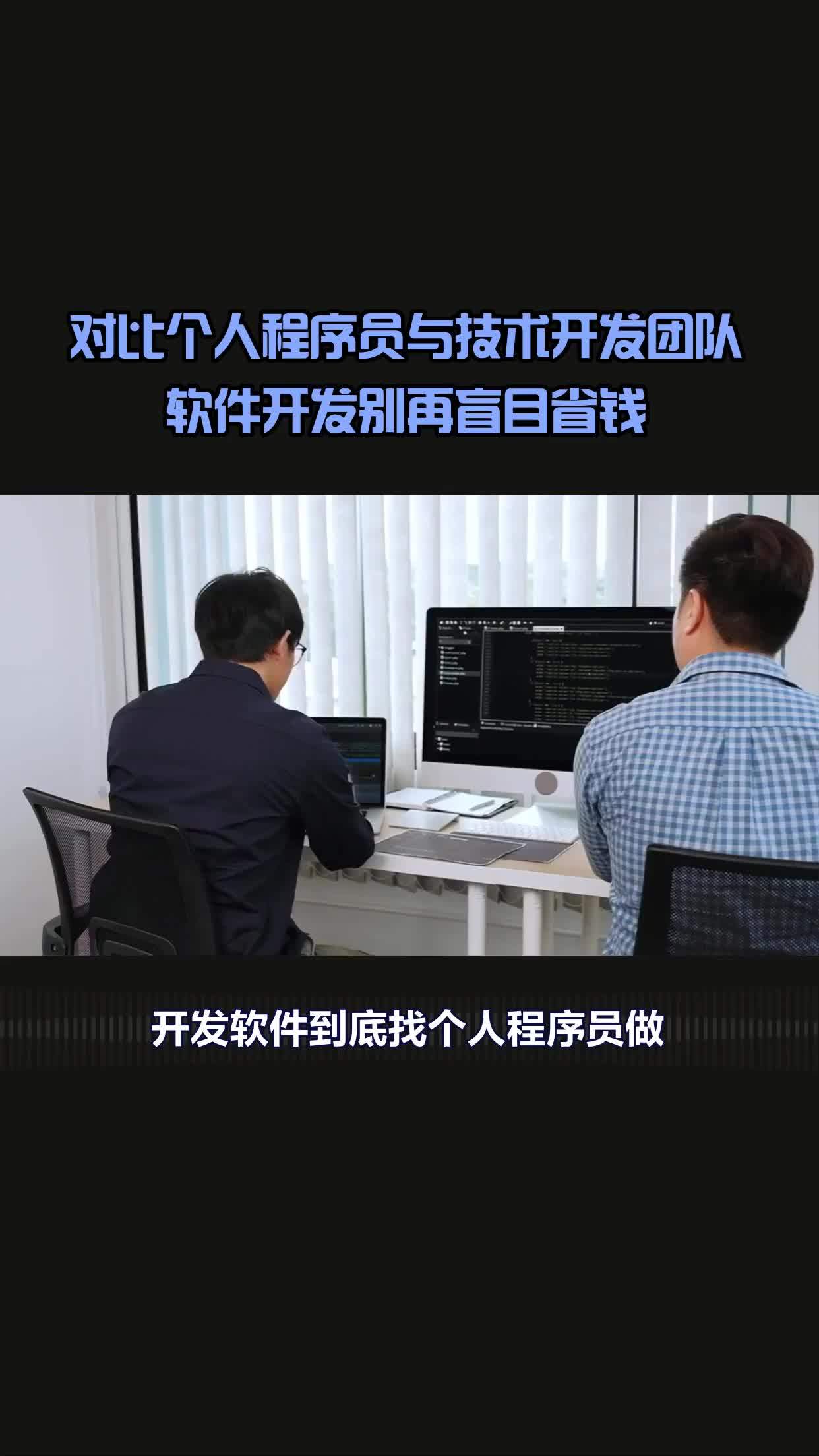 别再盲目省钱 个人程序员与软件开发团队的深度对比与选择策略